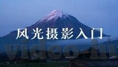 伦理电影有哪些-伦理电影的多样风貌与深度探讨