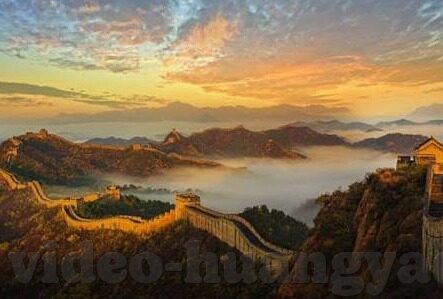 糖心vlog下载最新地址-糖心Vlog，探寻最新下载地址的乐趣